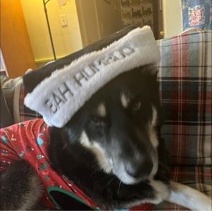 Meet your Posher, Beverly carter